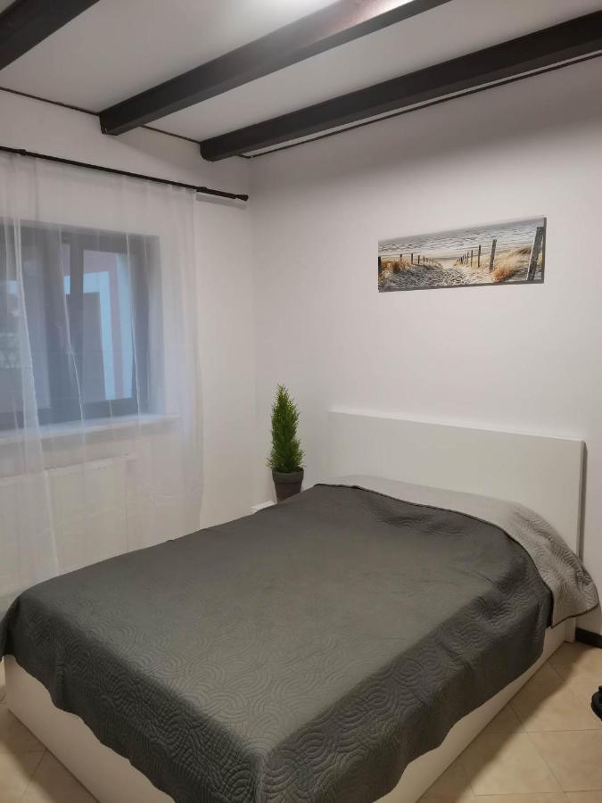 Urocze Studia W Lomiankach, 1- Z Sauna I Tarasem, 2- Z Kominkiem, 3- Ekonomiczne, 7Km Metro Mlociny Warszawa Lomianki Bagian luar foto